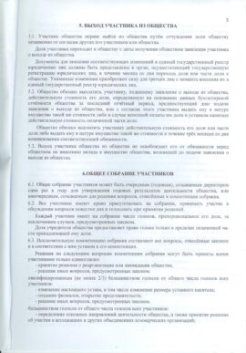 Устав Спутник Плюс стр 5